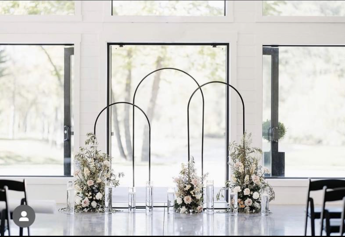 Metal Arch Backdrop